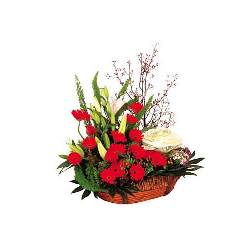 Enthrall the people close to your heart by sending......  to Miri