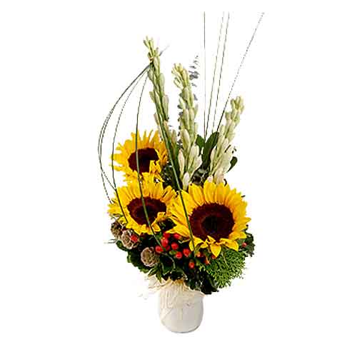 Send with your love to your dear ones, this Pretty......  to Temerloh