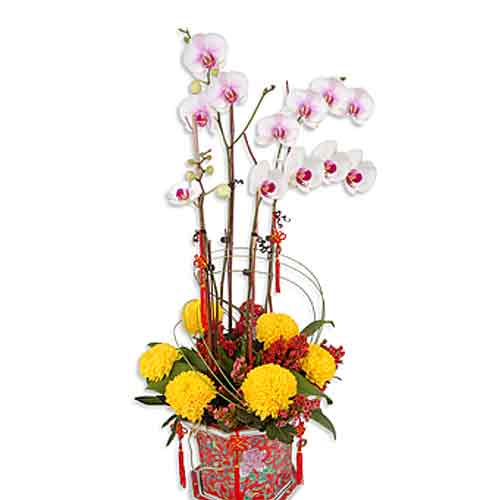 Special Colorful Wishes Bouquet