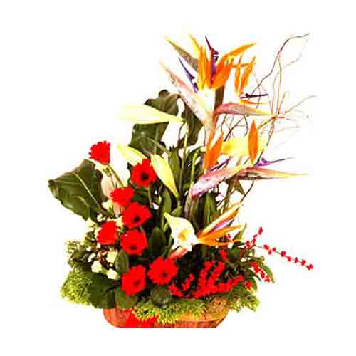 Vibrant Power of Flowers Bouquet