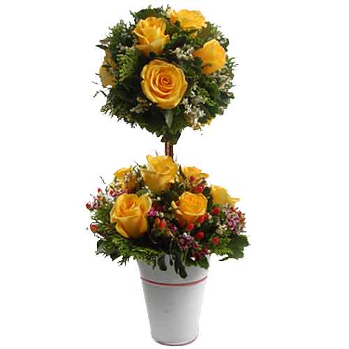 Charming Explosive Elegance Rose Topiary