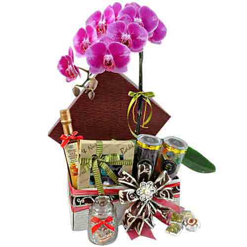 Breathtaking Orchids Display Gourmet Basket