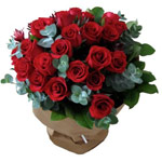 Classical 24 Red Roses