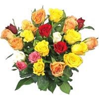 Mixed Roses