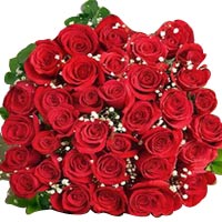 Crazy 50 Red Roses