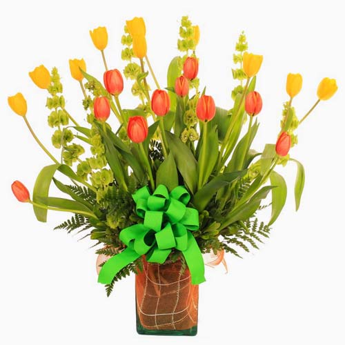 Sunny Morning Flower Bouquet of Tulips