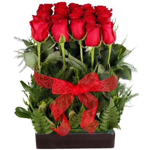Blooming Arrangement of Red Color Roses