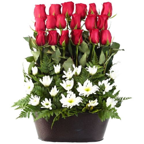 A classic gift, this Appealing Christmas Floral Arrangement makes any celebratio...