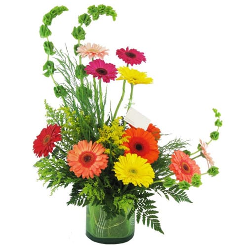 Charming Multi-colored Gerberas in a Glass Base