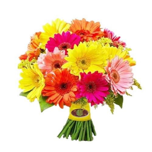 Same day flower delivery. Affordable, stunning flo......  to Zacatecas