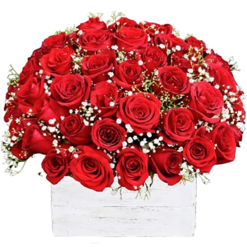 Radiant Pure passion Bouquet of Red ColorRoses