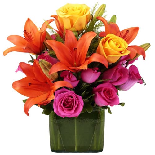 Be happy by sending this Evergreen Holiday Mixed Flowers Bunch to your dear ones...