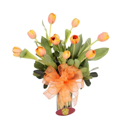 Tulips are one of the most sought after spring flo......  to Sahuayo