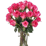 Beautiful Pink Roses In Vase