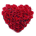  Beautiful Red Roses Heart Shape