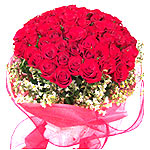  50 Long Stem Red Roses