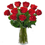 Blossoming Romantic 1 Dozen Red Rose Floral Bouquet