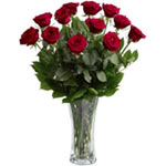 Touching Electric Energy Bunch of 12 Red Roses in a Vase