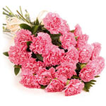 Lovely 20 Pink Carnations Bouquet