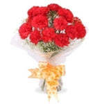 Enchanting Hand-Tied Bouquet of 20 Red Carnations