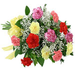 Stylish Floral Arrangement of 20 Mixed Carnations