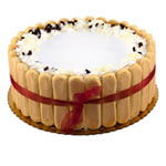 Beautiful Celebration with Tiramisu Cake