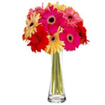 Joyful Colors of Life Arrangement