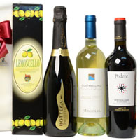 Pretty Seasons Finest Choice Wine Gift Hamper