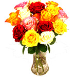 Striking Season's Delight 15 Mixed Roses Bouquet