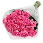 Exclusive 20 Stem Pink Roses Arrangement