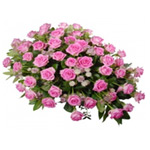 Classic Measure of Goodness Pink Roses Oval Shaped Arrangement