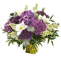This beautiful combination of purple and white flowers are an elegant whole, a n...