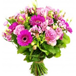 Beautiful Flowering Bunch in Pink Colors