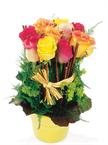 High arrangement of multicoloured roses in a vase (the shape and the colour of t...