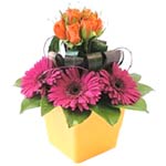 Roses and Gerberas in a Bright Pot