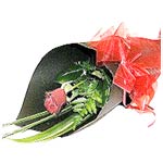 Single Gift Wrapped Roses