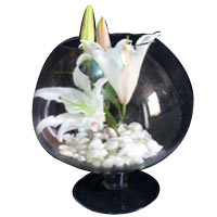 Mesmerizing Selection of Lily in a Brandy Bubble Vase
