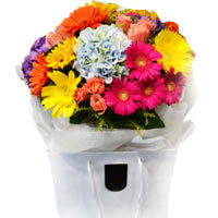 Impressive Assortment of Seasonal Flowers in a Gift Bag