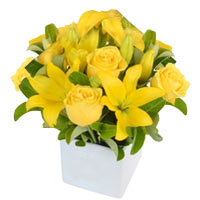 Enchanting Composition of Yellow Roses and Asiatic Lilies