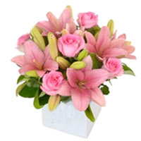 Blooming Bundle of Pink Roses and Asiatic Lilies