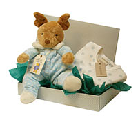 Joyful Combination of Marquise Baby Grow with Puppy Soft Toy