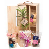 Delicious Gift of Chocolate Assortments with a Baby Tree