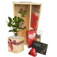 Joyful Premium Celebration Gift Box for You