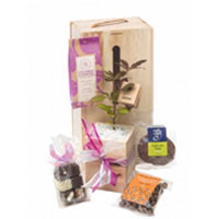 Enchanting Double Addiction Gift Box