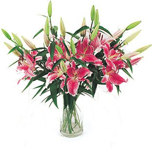 Mothers Day Oriental Lily Hand Tied Bouquets