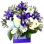 Blue, White and Cream Box Arrangement