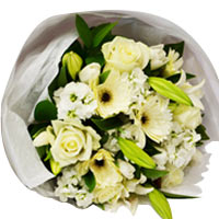 Sweetest Long Stem Bouquet of Ice Whites Seasonal Blooms