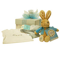 Delightful Arrangement of Sweet Gifts for Baby Boy