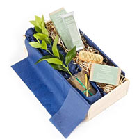 Breathtaking Relax N Unwind Gift Box