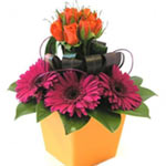Breathtaking Roses and Gerberas in a Bright Pot